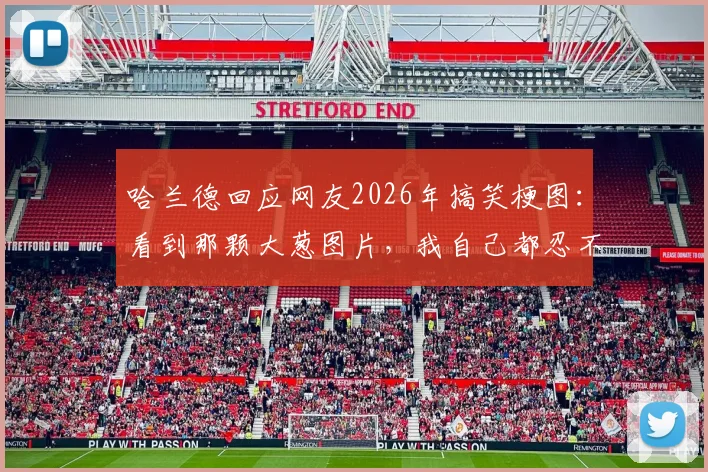 哈兰德回应网友2026年搞笑梗图：看到那颗大葱图片，我自己都忍不住笑了！附热门哈兰德表情包合集