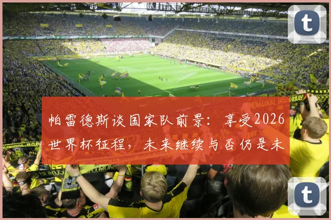 帕雷德斯谈国家队前景:享受2026世界杯征程,未来继续与否仍是未知数